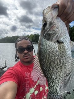 Half day crappie fishing Lake Lanier